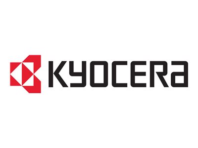 Kyocera IB-35 - Netzwerkadapter - 802.11b/g/n, NFC