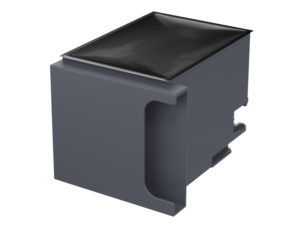 Epson Tintenwartungstank - für WorkForce Pro RIPS WF-C879