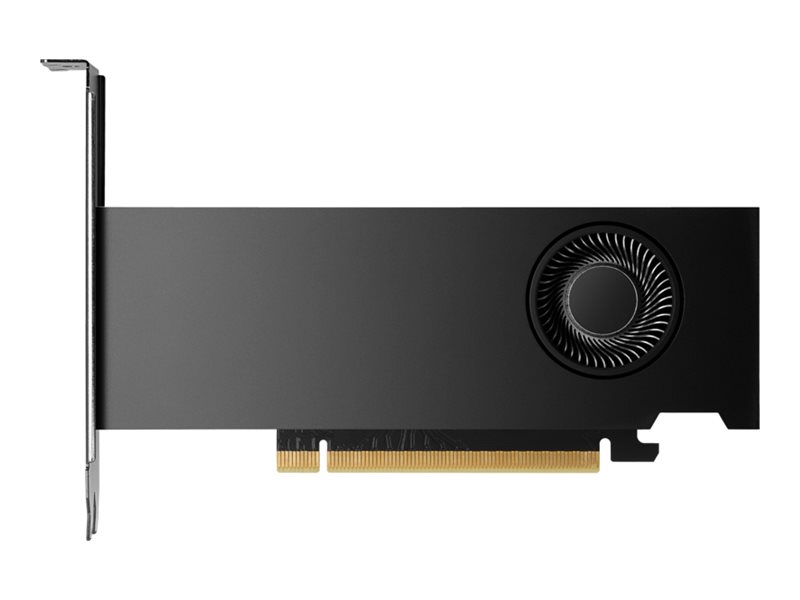 HP NVIDIA RTX 2000 Ada - Grafikkarten - NVIDIA RTX 2000 Ada