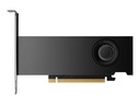 HP NVIDIA RTX 2000 Ada - Grafikkarten - NVIDIA RTX 2000 Ada