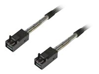 Intel Internes SAS-Kabel - SAS 12Gbit/s - gerade durchgeführt - 4-Lane - 4x Mini SAS HD (SFF-8643)