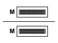 HPE X241 - 100GBase Direktanschlusskabel - QSFP28 (M)