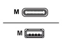 Ruckus USB-Kabel - 24 pin USB-C (M) zu USB (M)