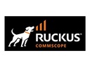 Ruckus Stromversorgung Hot-Plug (Plug-In-Modul)