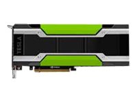 [490-BENW] Dell NVIDIA Tesla P40 - Kundeninstallation - GPU-Rechenprozessor