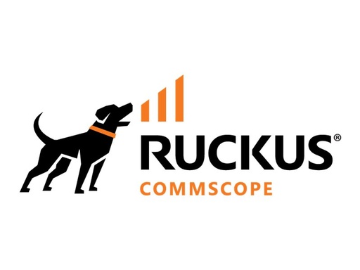 [L09-0001-SG00] Ruckus Access Point Management - Lizenz - 1 Access