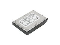 [43R1990] Lenovo Festplatte - 500 GB - intern - 3.5" (8.9 cm)