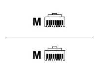 [40K8801] Lenovo IBM - Netzwerkkabel - RJ-45 (M) zu RJ-45 (M)