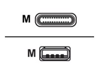 [CC-USBC-USBA] Ruckus USB-Kabel - 24 pin USB-C (M) zu USB (M)