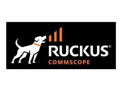 [RPS20-E] Ruckus Stromversorgung Hot-Plug (Plug-In-Modul)